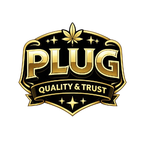 PLUG